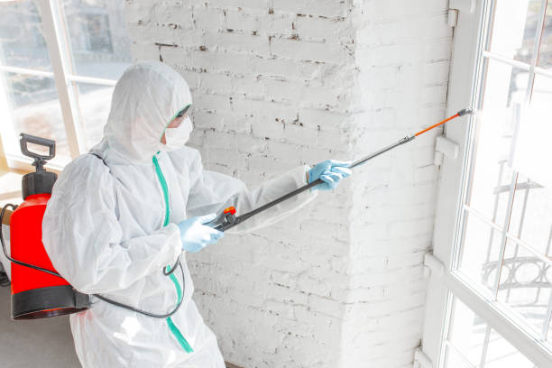 Best Mold Odor Removal Services in Perkins, OK